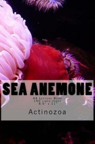 Cover of Sea Anemone