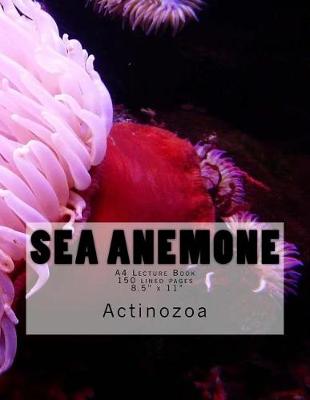 Book cover for Sea Anemone