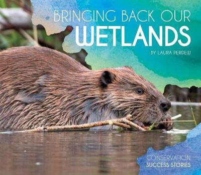 Book cover for Bringing Back Our Wetlands