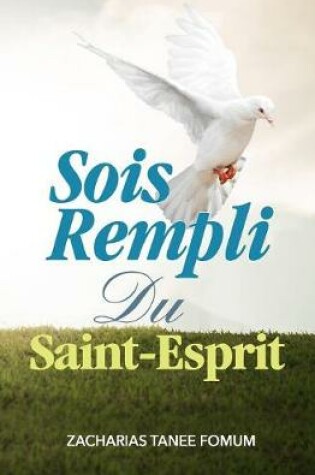 Cover of Sois Rempli du Saint-Esprit