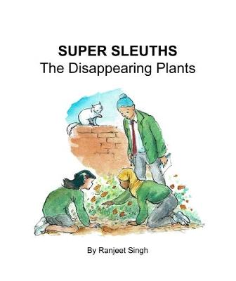 Book cover for Super Sleuths