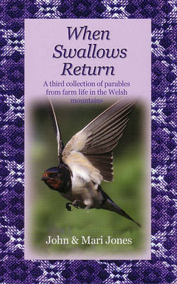 Book cover for When Swallows Return