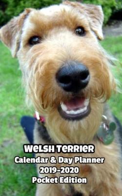 Book cover for Welsh Terrier Calendar & Day Planner 2019-2020 Pocket Edition