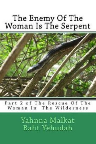 Cover of The Enemy of the Woman Is the Serpent