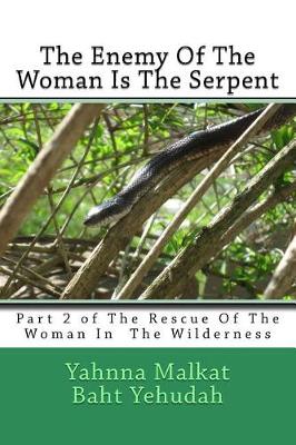 Book cover for The Enemy of the Woman Is the Serpent