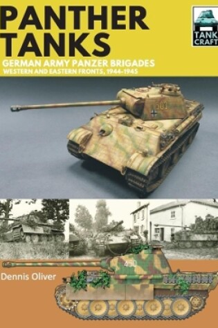 Cover of Panther Tanks: Germany Army Panzer Brigades
