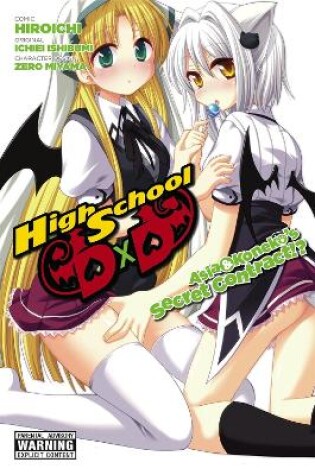 Cover of High School DXD: Asia & Koneko's Secret Contract!?