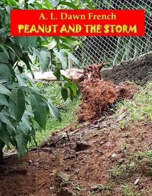 Book cover for Peanut and the Storm