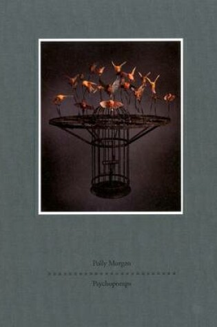 Cover of Polly Morgan