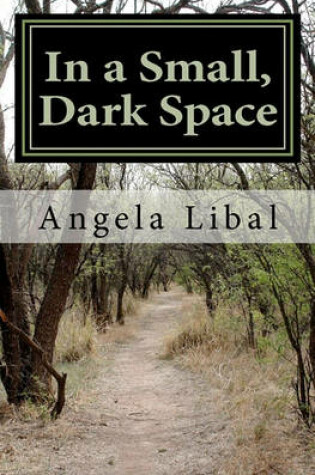 Cover of In a Small, Dark Space