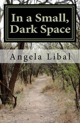 Book cover for In a Small, Dark Space