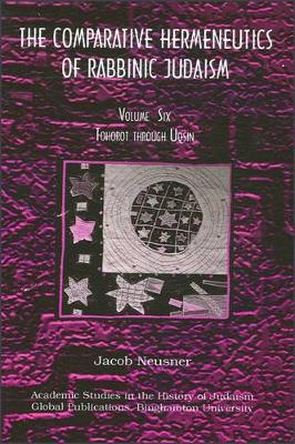 Book cover for Comparative Hermeneutics of Rabbinic Judaism, The, Volume Six