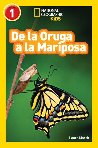 Book cover for National Geographic Readers: De la Oruga a la Mariposa (Caterpillar to Butterfly)