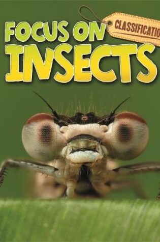 Cover of Classification: Focus on: Insects