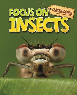 Book cover for Classification: Focus on: Insects