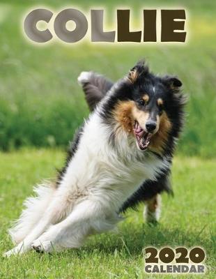 Book cover for Collie 2020 Calendar