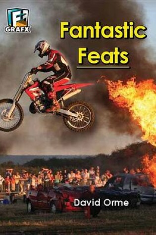 Cover of Fantastic Feats (Don't Do This at Home)