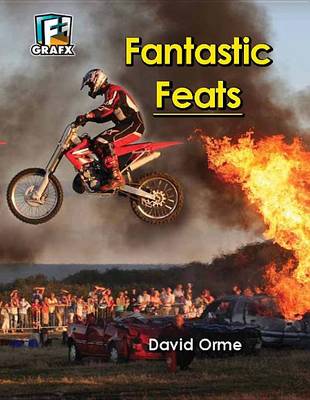 Book cover for Fantastic Feats (Don't Do This at Home)