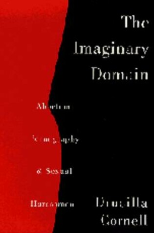 Cover of The Imaginary Domain
