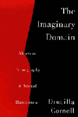 Book cover for The Imaginary Domain