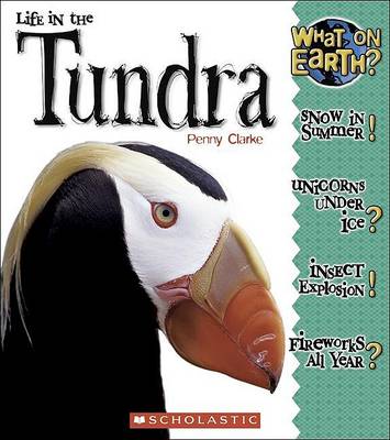 Book cover for Life in the Tundra