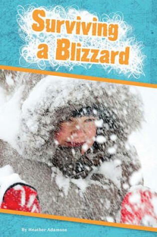 Cover of Surviving a Blizzard