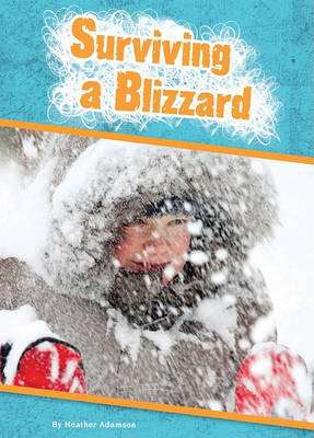 Cover of Surviving a Blizzard