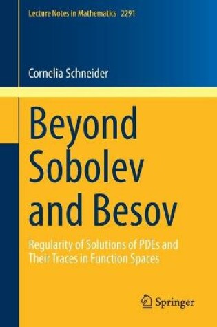 Cover of Beyond Sobolev and Besov
