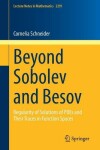 Book cover for Beyond Sobolev and Besov