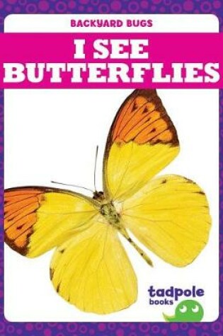 Cover of I See Butterflies