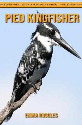 Cover of Pied Kingfisher