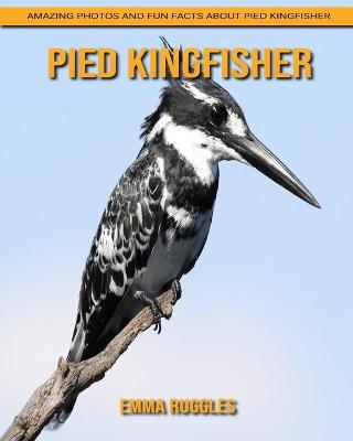 Book cover for Pied Kingfisher