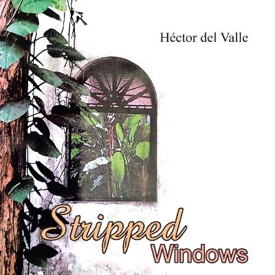 Book cover for Stripped Windows