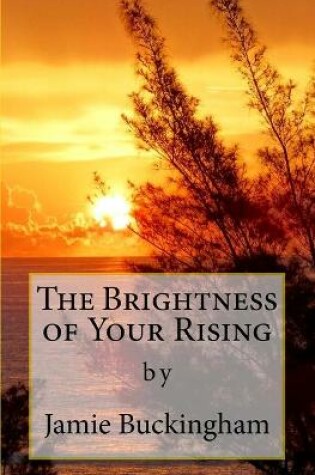 Cover of The Brightness of Your Rising