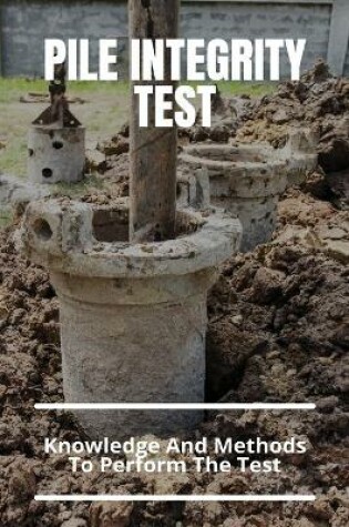 Cover of Pile Integrity Test