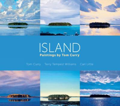 Book cover for Island