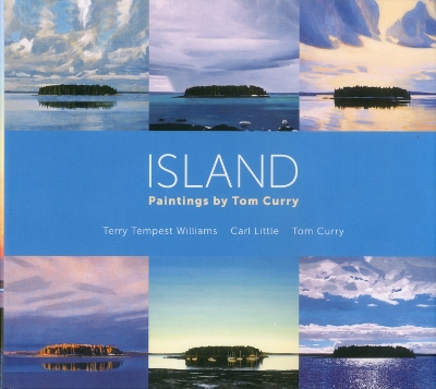 Book cover for Island