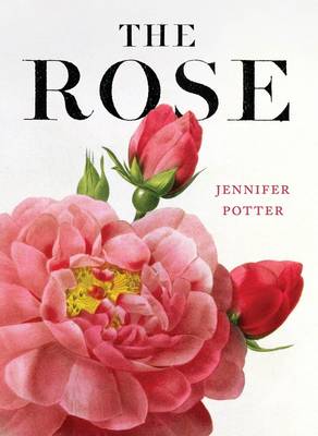 Book cover for The Rose