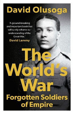 Book cover for The World's War