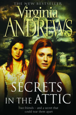 Cover of Secrets in the Attic