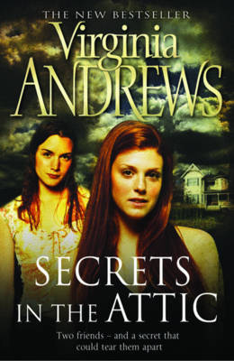 Book cover for Secrets in the Attic