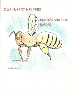 Book cover for Our Insect Helpers: Hunters and Pollinators