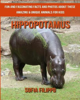 Book cover for Hippopotamus