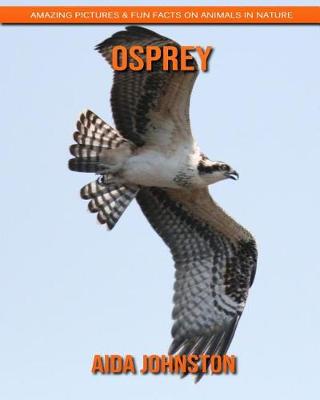 Book cover for Osprey