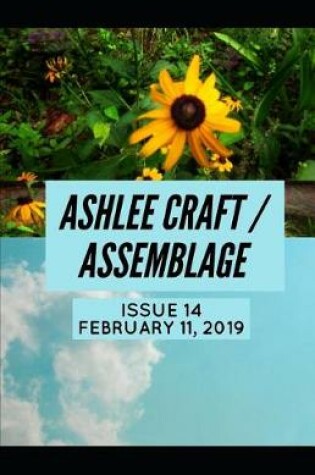 Cover of Issue 14 (Ashlee Craft / Assemblage)