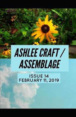 Book cover for Issue 14 (Ashlee Craft / Assemblage)