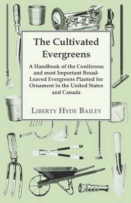 Book cover for The Cultivated Evergreens - A Handbook of the Coniferous and Most Important Broad-Leaved Evergreens Planted for Ornament in the United States and Canada