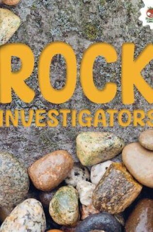 Cover of Rock Investigators