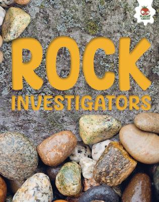 Book cover for Rock Investigators