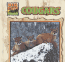 Book cover for Cougars